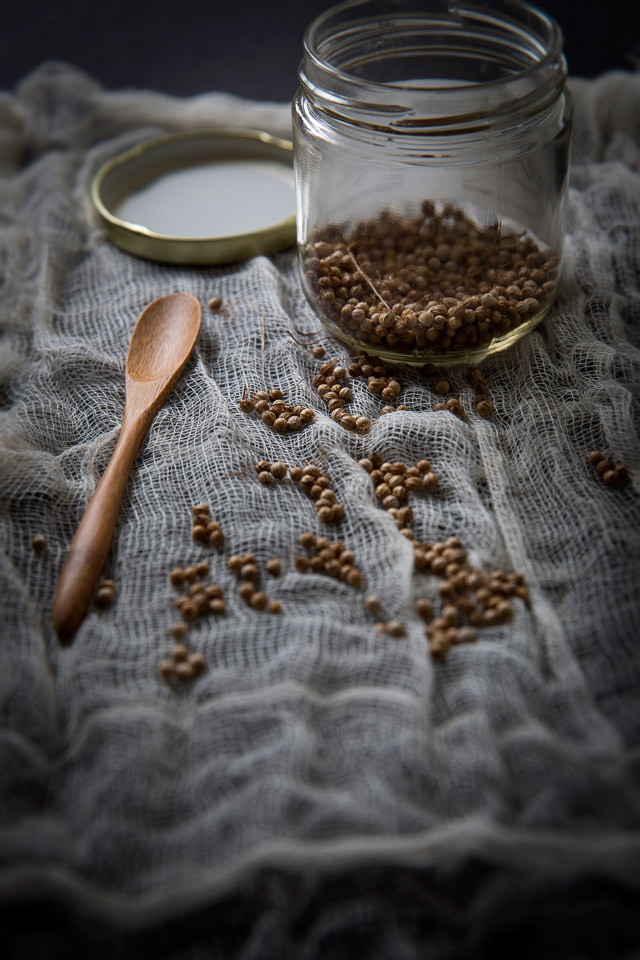 Coriander seed