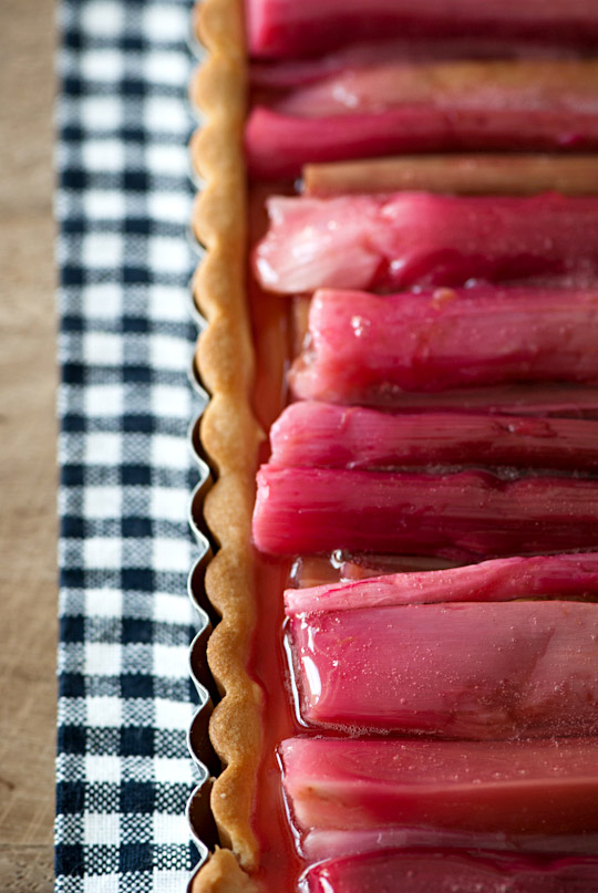 rhubarb tart