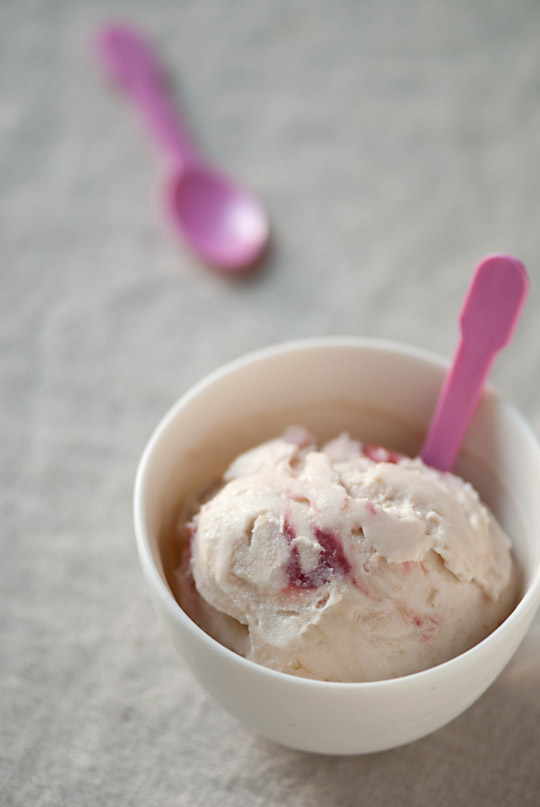 rhubarb ice cream