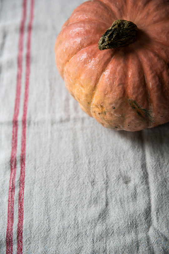 pumpkin from the garden on hand spun linen from Heather Ross